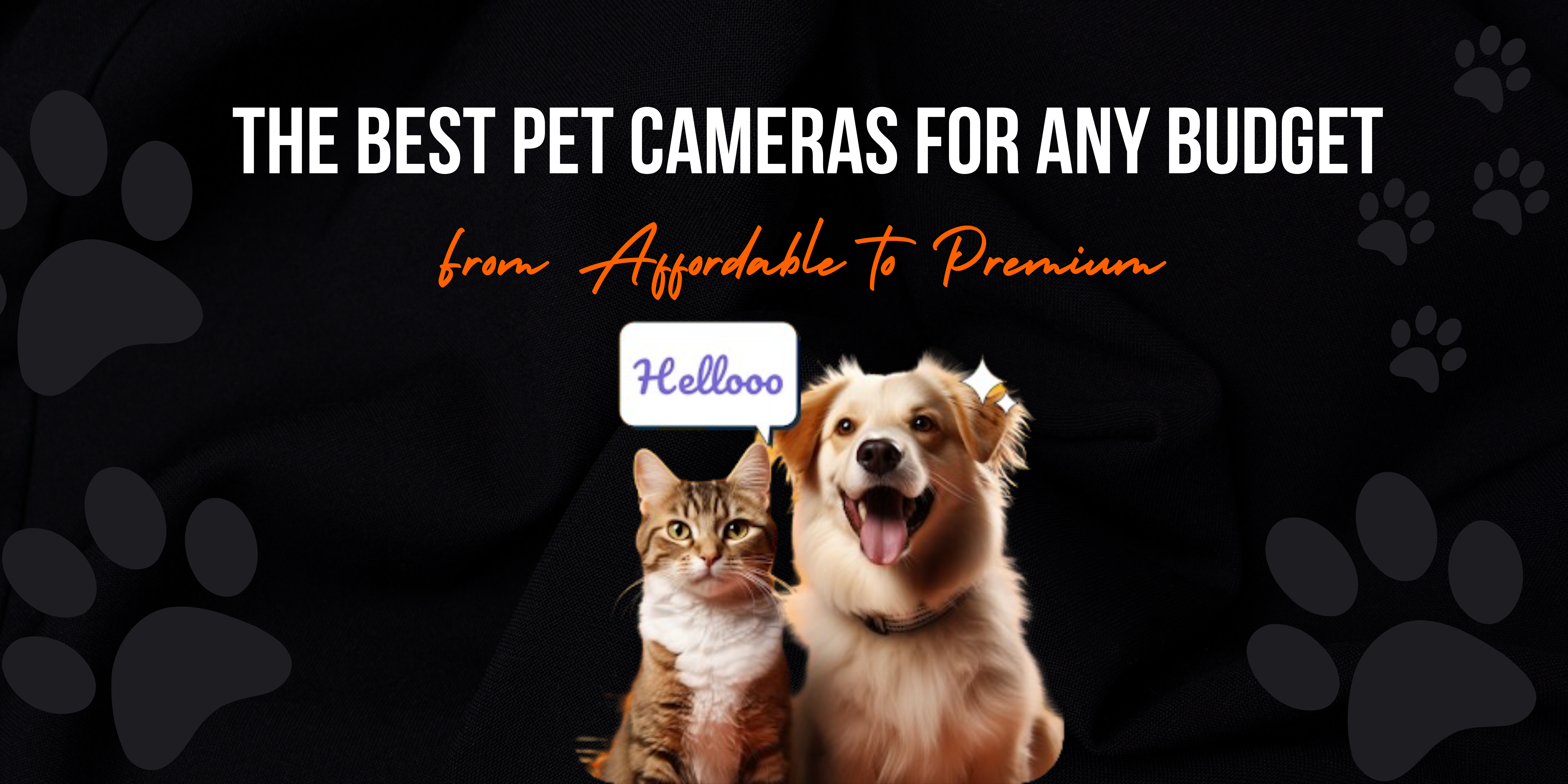 BEST PET CAMERAS